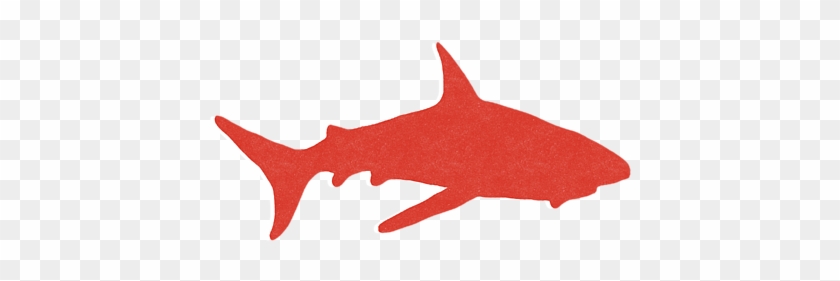 Click And Drag To Re-position The Image, If Desired - Carcharhiniformes #1660987