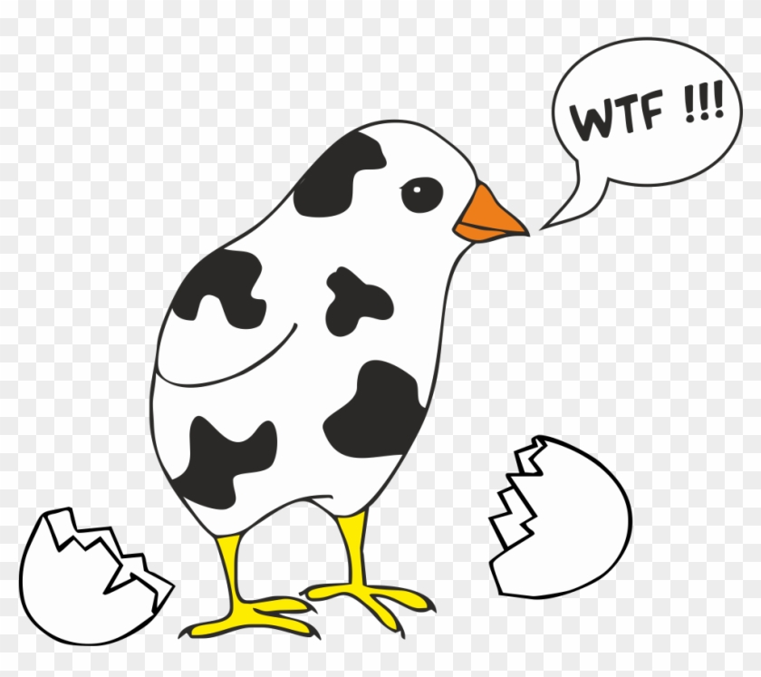 Wtf - Chicken Coloring Pages #1661107