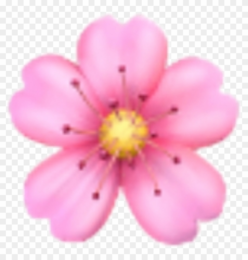 Flower Sakura Emoji Emojis Rose Sticker Ios Iphone - Cherry Blossom Emoji Png #1661276