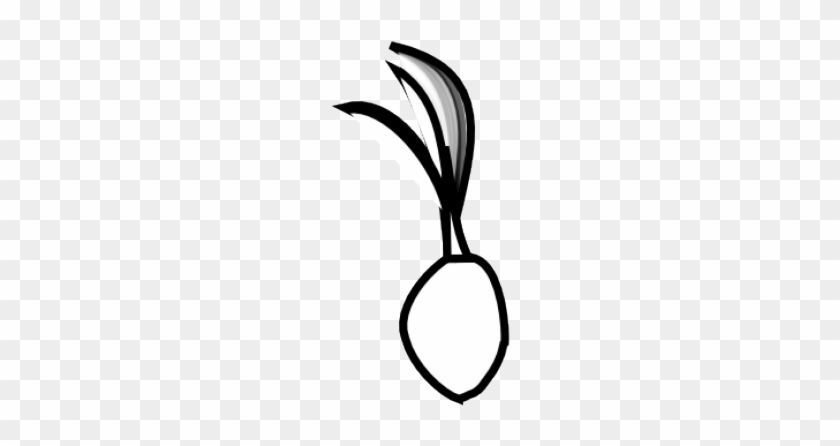 Seed Clipart Coconut Seed - Coconut Seed Clip Art Black And White #1661445