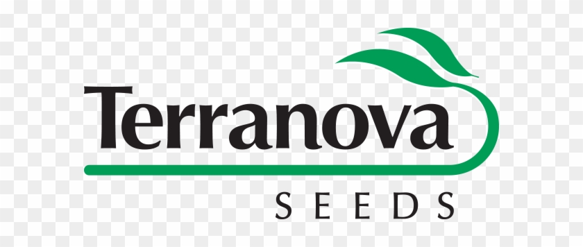 Terranova Seeds Logo #1661456