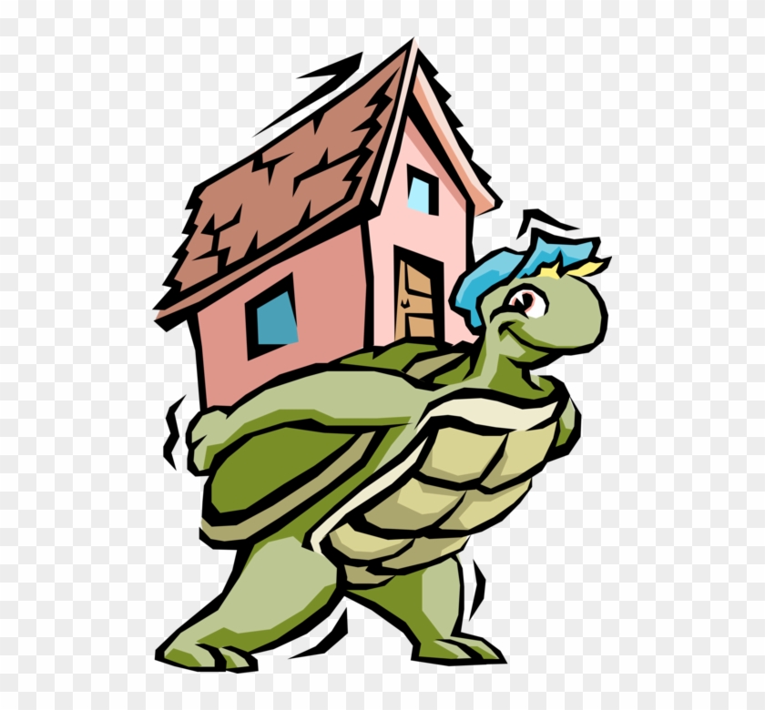 505 X 700 0 - Turtle House #1661614