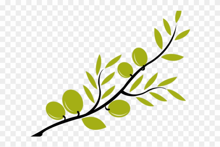 Branch Clipart Olive Branch - Olive Branch Clipart Transparent #1662043