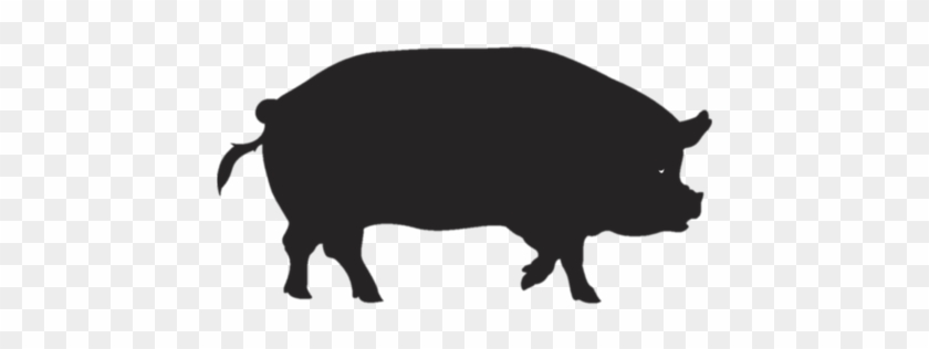 Pig Silhouette Cartoon #1662107