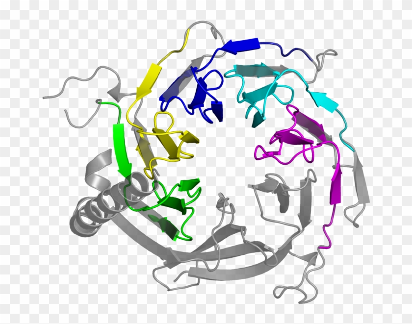 <div Class='caption-body'>5 Copies Of Pfam Domain < - Illustration #1662329