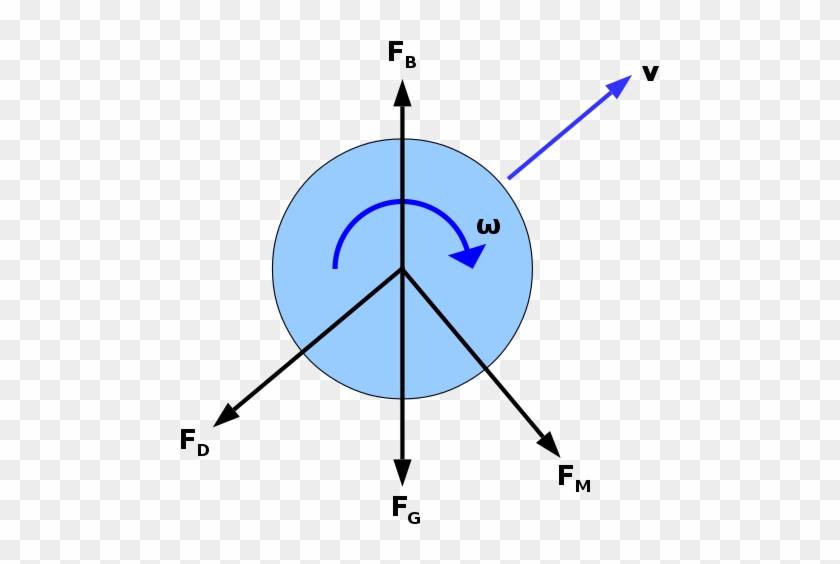 The Forces Acting On A Spinning Ball During Its Flight - Diagram #1662420