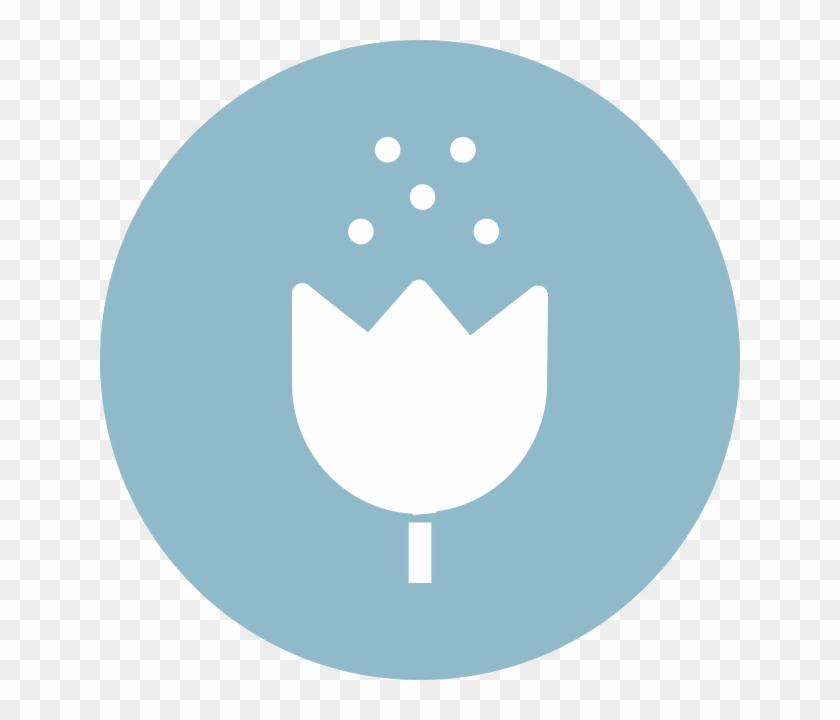 Allergists North Virginia - Circle #1662782