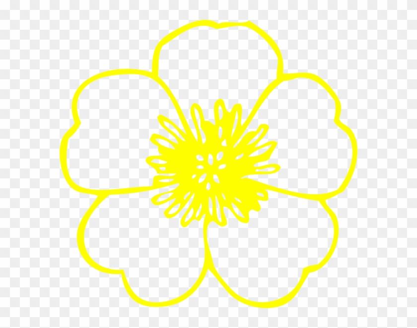Flower #1662986
