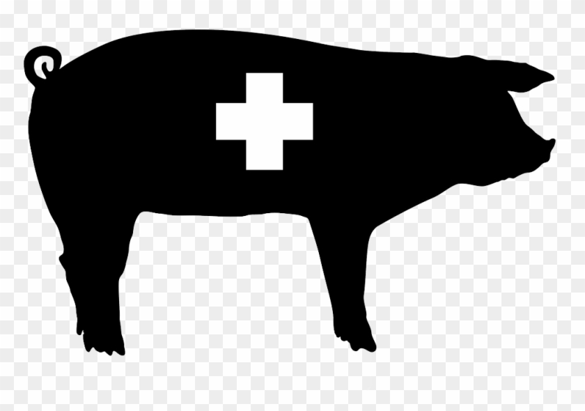 Animal Health Icon Silver Bullet Water Treatment Ⓒ - Pig Silhouette Vector #1663494