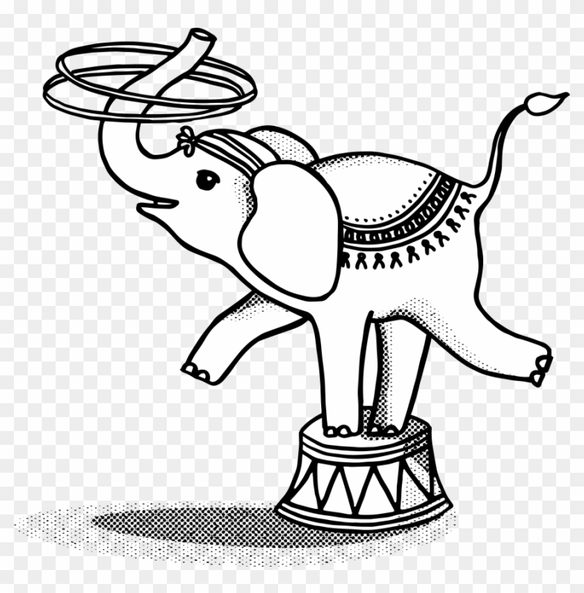 Elephant - Cartoon #1663507