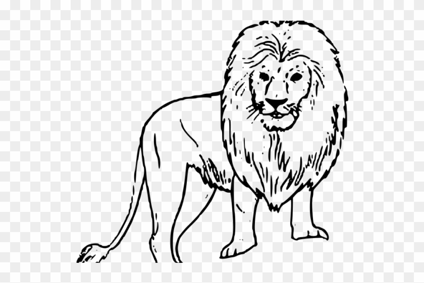 White Lion Clipart Drawn - Easy Drawings Of Wild Animals - Free Transparent  PNG Clipart Images Download