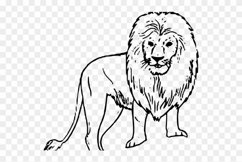 White Lion Clipart Drawn - Easy Drawings Of Wild Animals #1664003