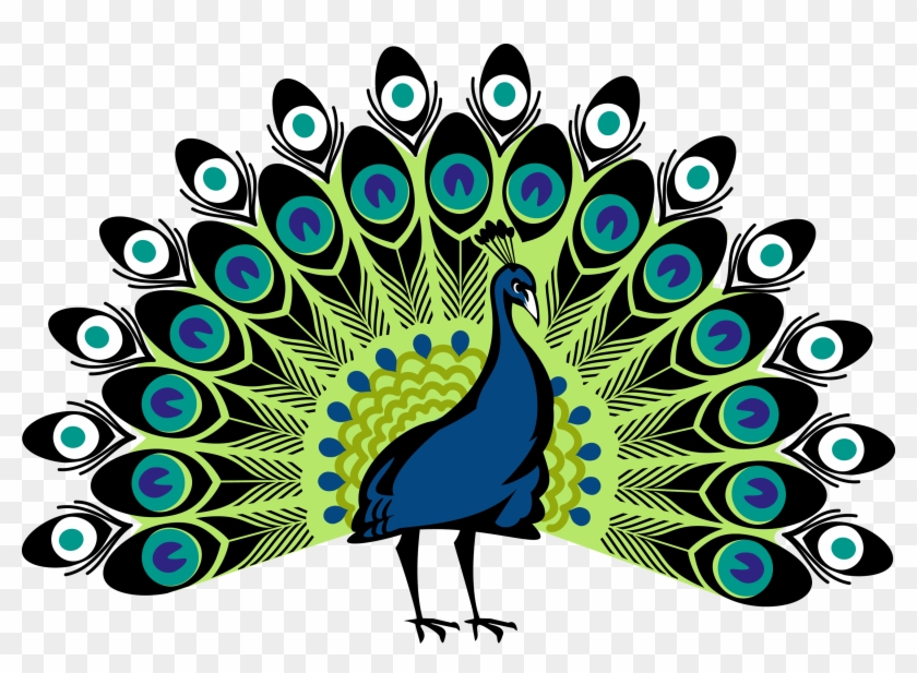 Peacock Image In Png #1664013