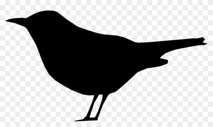 Perching Bird #1664212