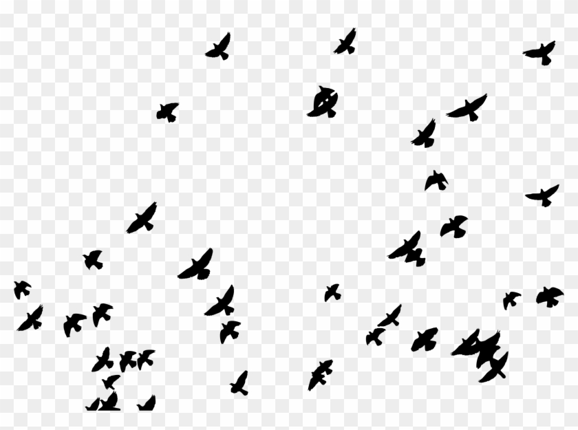 Of Pigeons Silhouette - Of Pigeons Silhouette #1664214