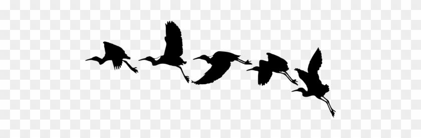 Vector Graphics - Drawing Birds Silhouette Flying #1664215
