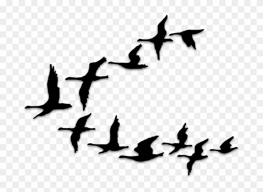 Birds Silhouettes Art & Islamic Graphics - Flying Bird Vector Png #1664216