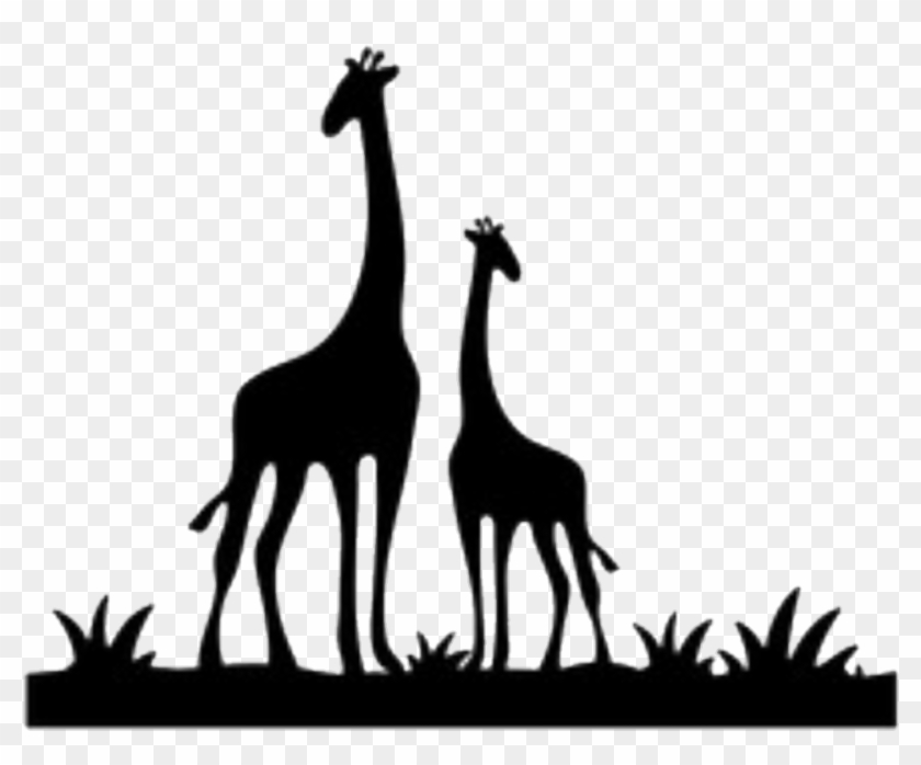 Giraffes Sticker - Giraffe #1664221