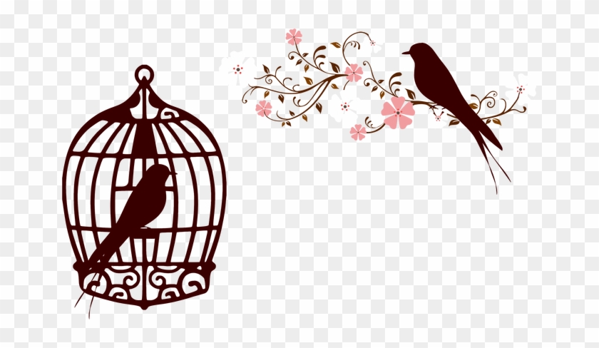 Love Bird Branch Best Colletion Birds Clipart - Bird In Cage Art Png #1664226