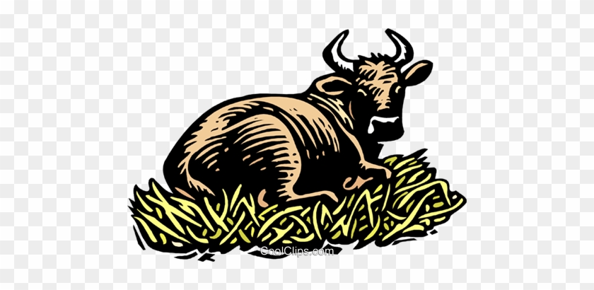 Bull - Bull #1664670