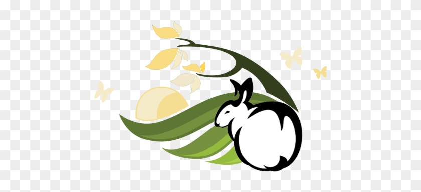 Sierra Valley Rabbitry - Sierra Valley Rabbitry #1664949