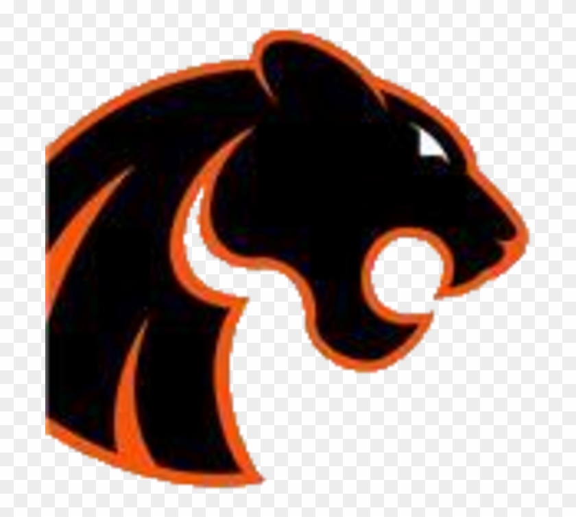 The Gardner South Wilmington Panthers Scorestream Gardnersouth - Black Cat #1665004