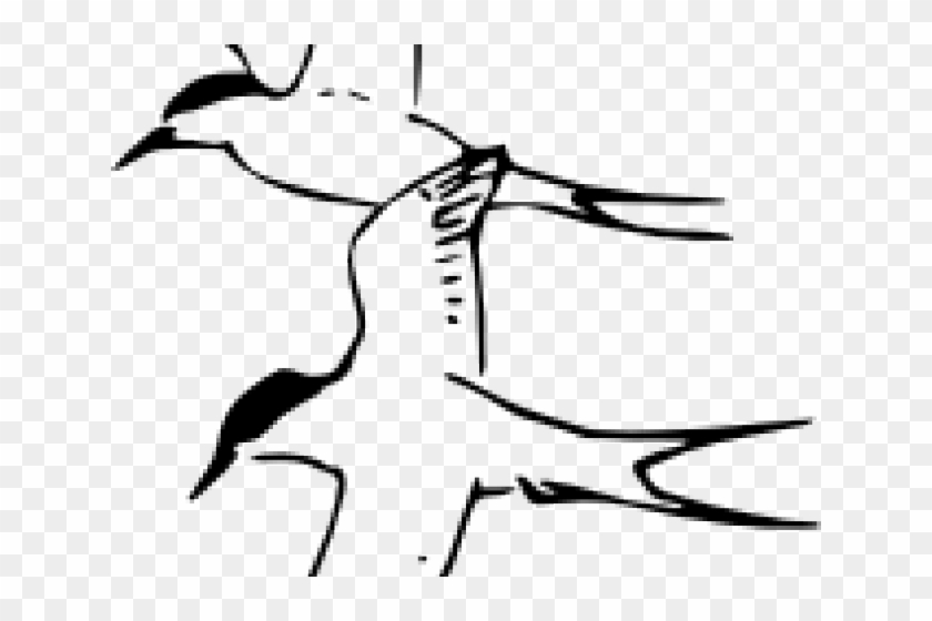 Tern Clipart Colored - Arctic Tern Coloring Page #1665024