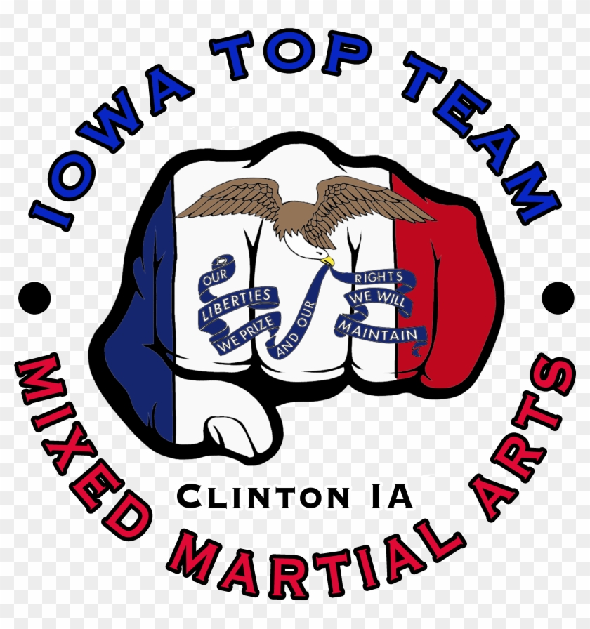 Iowa State Flag #1665083