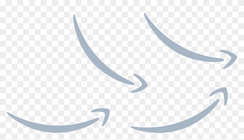 Amazon Campaign - Amazon Campaign #1665177