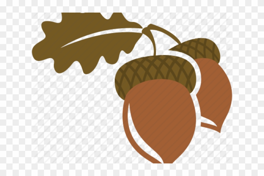 Nut Clipart Autumn Acorn - Illustration #1665231