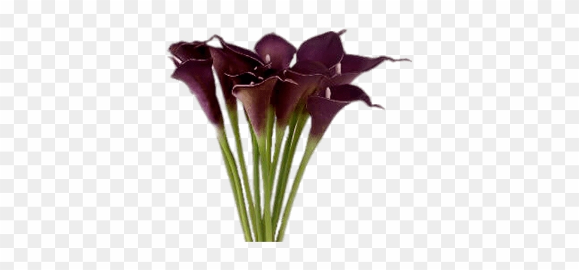 Calla Lily Bouquet Purple #1665762