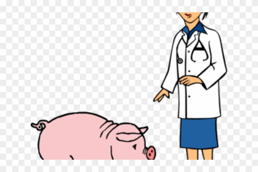 The Doctor Clipart Pig - Transparent Background Vet Clipart #1666094
