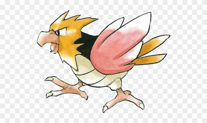 #spearow From The Official Artwork Set For #pokemon - Cartoon #1666250