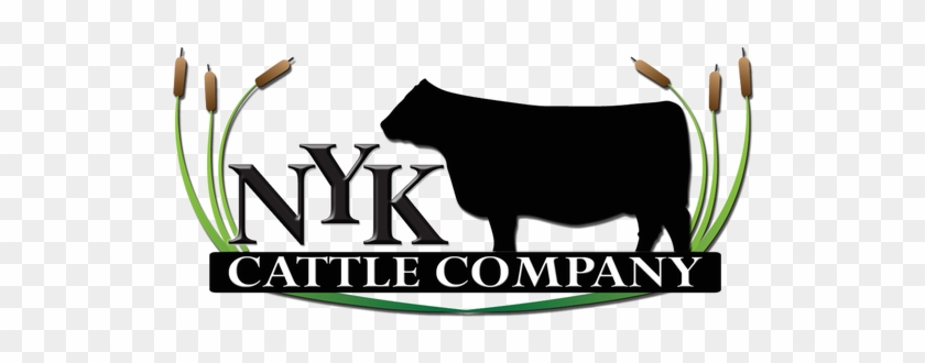 Dairy Cow #1666761
