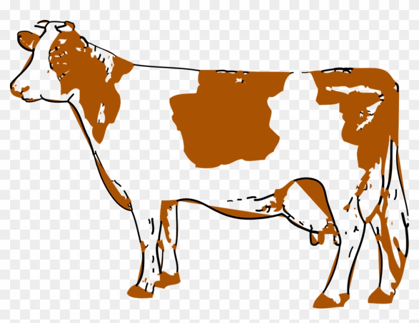 Cattle Clipart Udder - American Cow Png #1666766