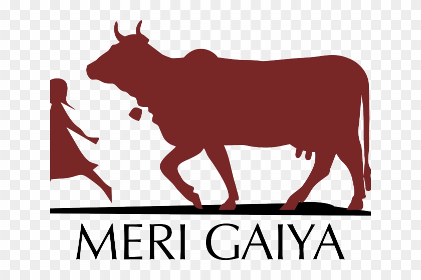 Longhorn Cattle Clipart Zebu - Gir Cow Logo Design #1666967