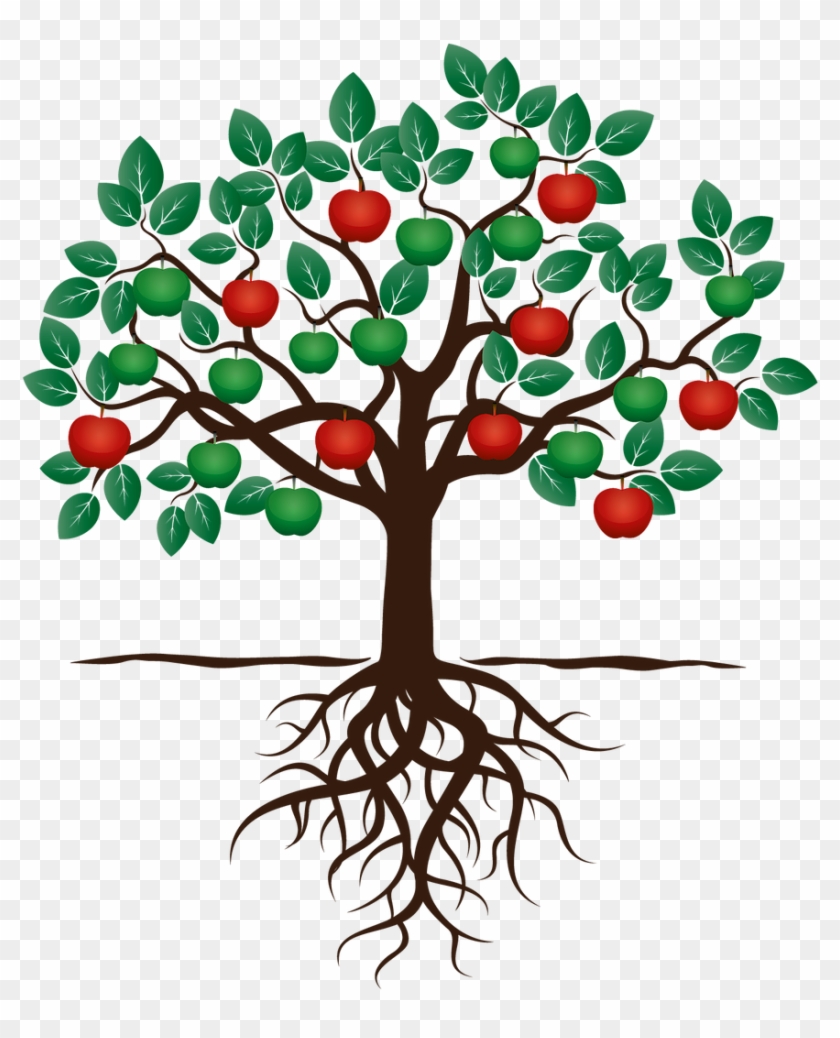 Benefits Of Working For Brent - Fruit Tree With Roots #1666994
