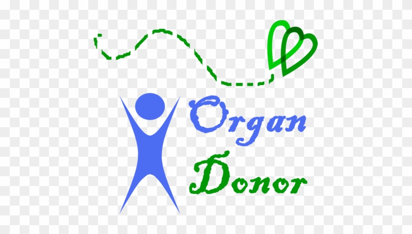 Type Of Organ Donation #1667119