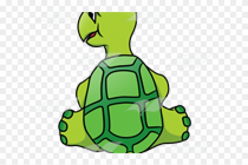 Shell Clipart Turtle Back - City Wok #1667230