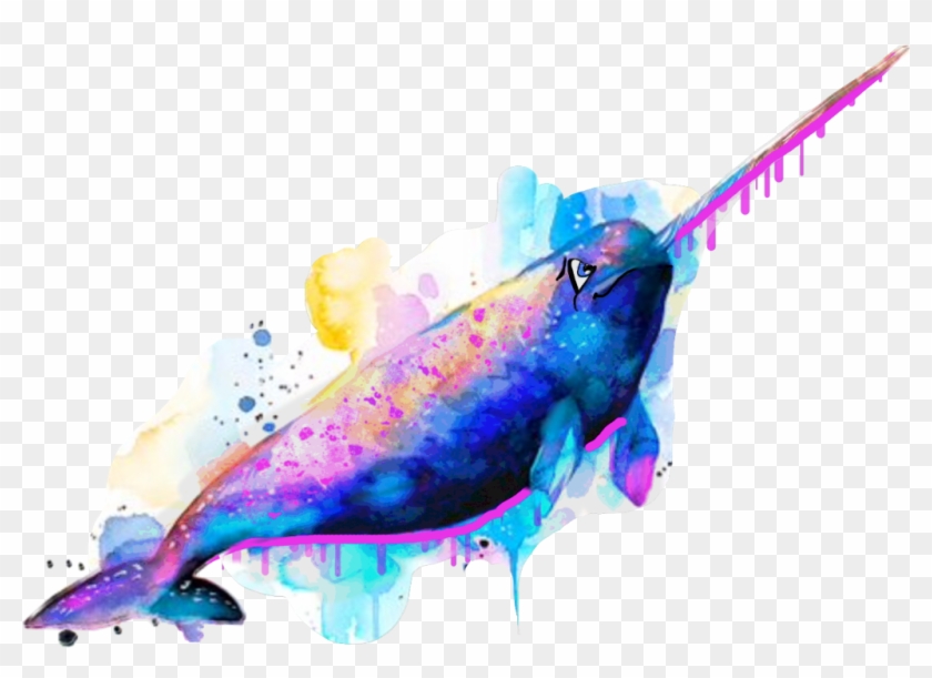 Scwatercolor Sticker - Narwhal Painting #1667471