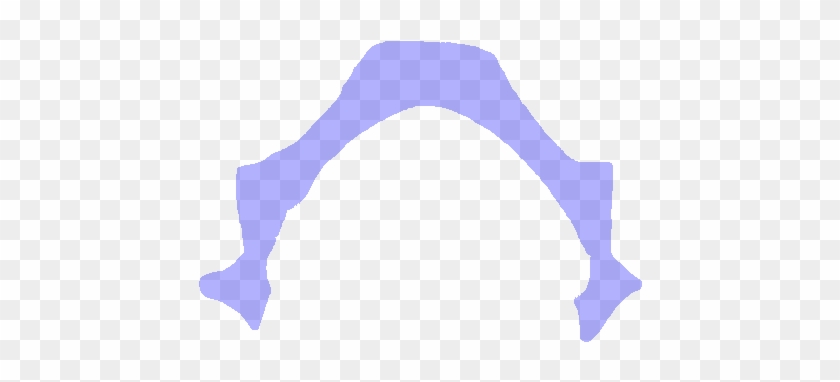 Vertebral Arch Vertebral Foramen - Vertebral Arch Vertebral Foramen #1667653