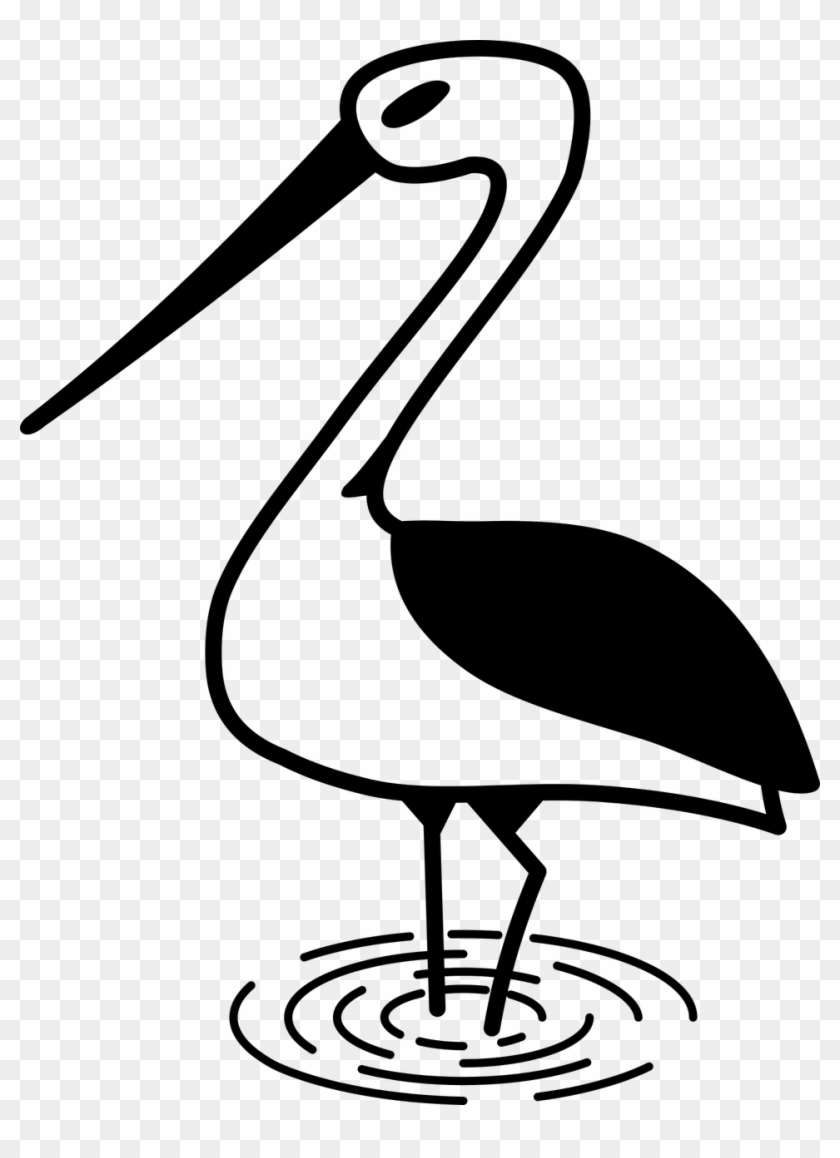 Stork Bird Nature - Stork #1667668