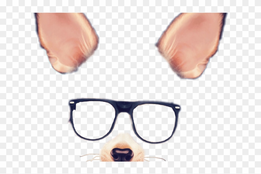 Snapchat Clipart Dog Ear - Snapchat Filters Png Transparent #1667882