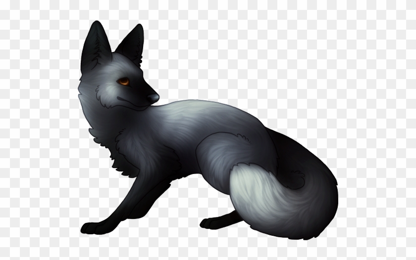 Winter Arctic Fox Available For Special Offer Silver Fox Free