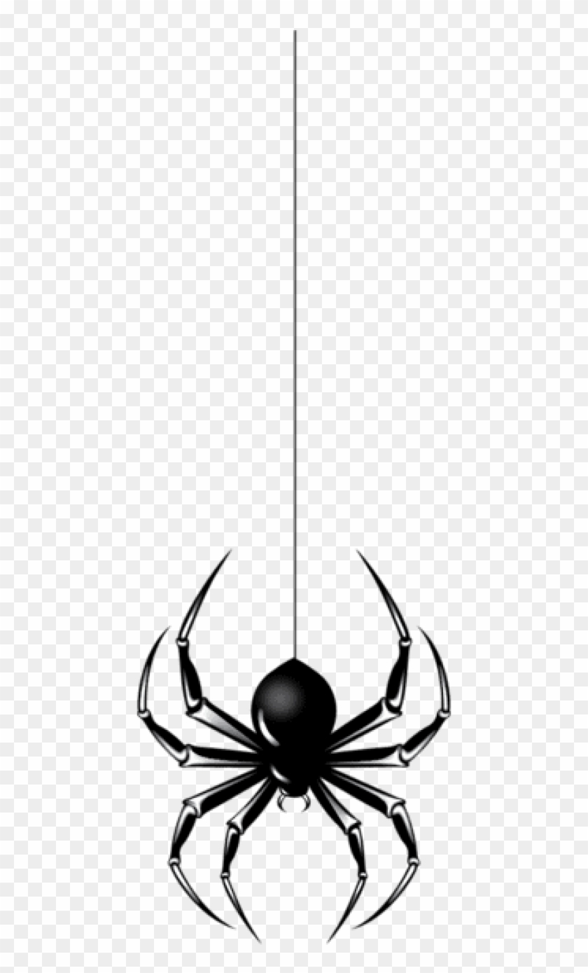 Free Png Download Halloween Black Spider Png Images - Spider Hanging Clip Art #1668176