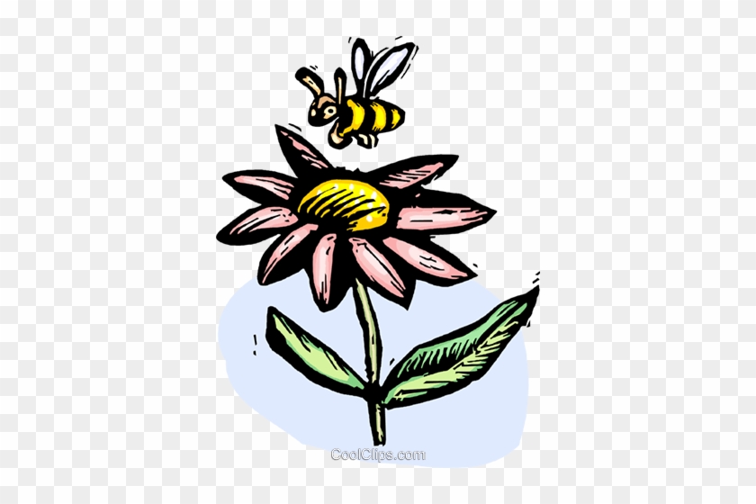 Flower And A Bee Royalty Free Vector Clip Art Illustration - Sunflower #1668191