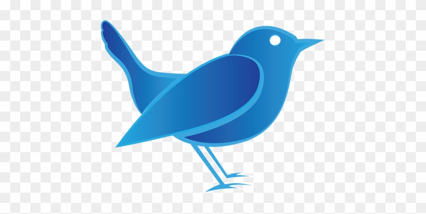 Wren Clipart - Mountain Bluebird #1668301