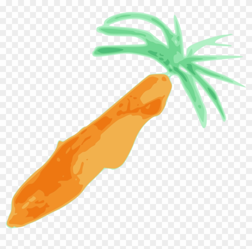 All Photo Png Clipart - Carrot #1668328