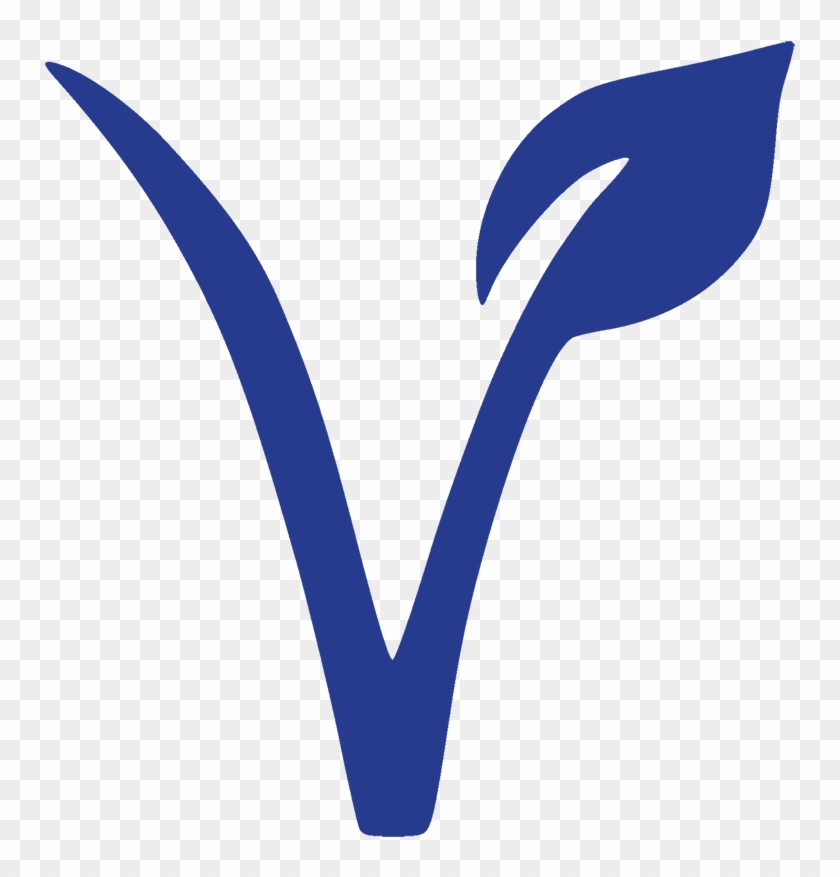 Vegan Iv Drip Treatment - Veganism #1668399