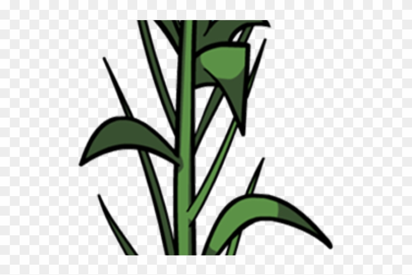 Corn Clipart Corn Leaf - Planta De Maiz Png #1668987
